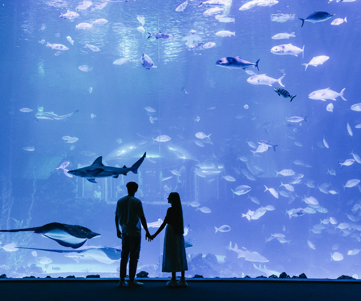 Gran Canaria: Poema del Mar Skip-the-Line Ticket