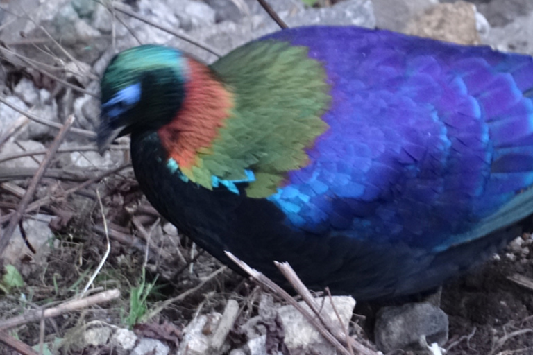 Everest Base Camp Trekking