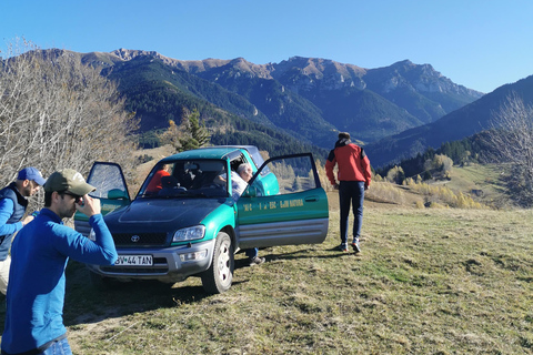 Sneeuwscooter, ATV of Buggy tour vanuit BoekarestSneeuwscooter Privé