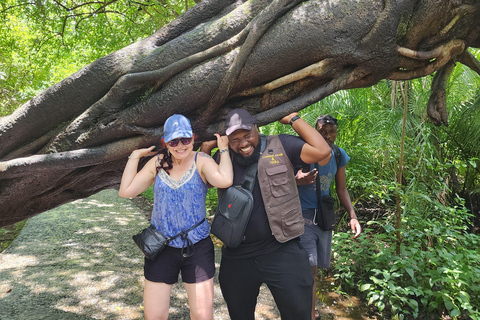 Victoria Falls: Private Guided Tour with Local guide