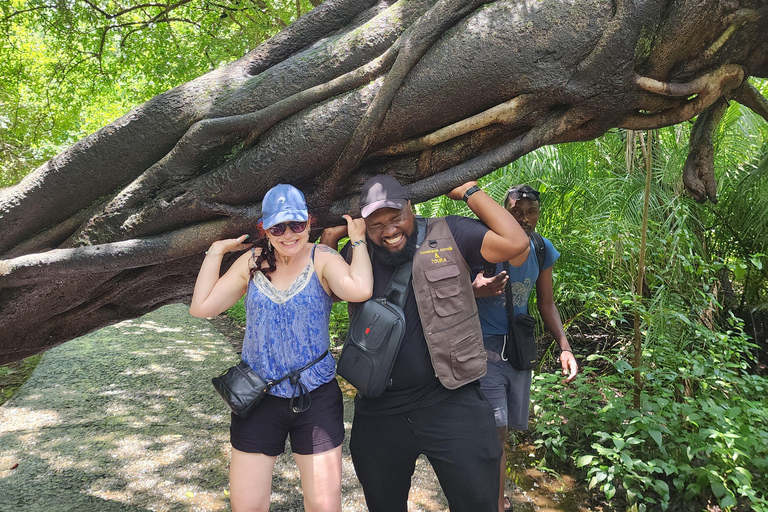 Victoria Falls: Private Guided Tour with Local guide