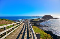 Phillip Island Small Group Afternoon Tour - Housity