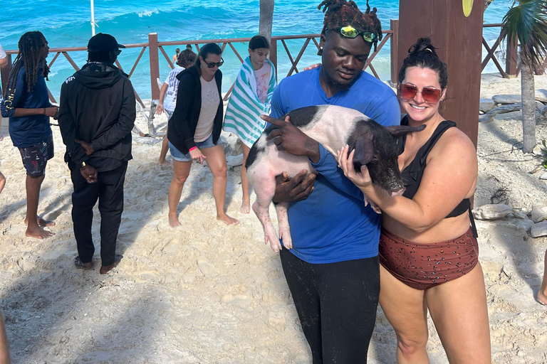 007-Mañana Todo Incluido Nadar con Cerdos en la Isla Rosa007 Todo Incluido-Nadar con cerdos en la Isla Rosa