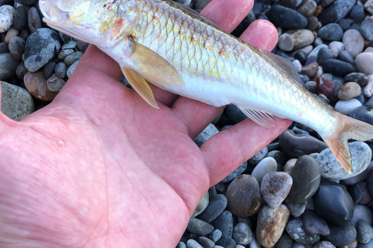 Western Georgia River Fishing & Georgian Food Experience