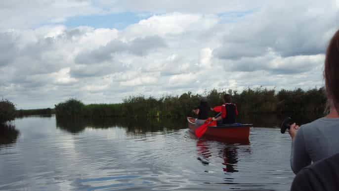 amsterdam dutch countryside sunset canoe tour