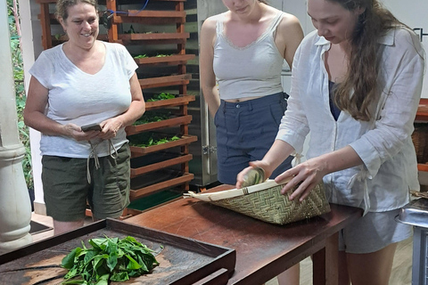 Ella: Organic Tea Plantation Tour with Tea Making & Tasting