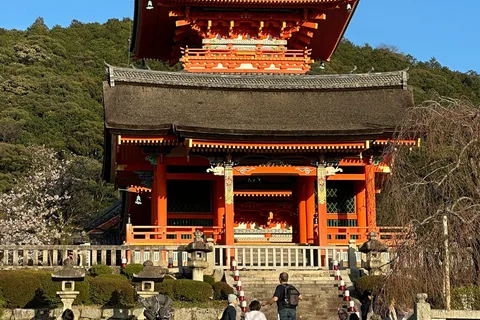 Desde Kioto y Osaka: Tour privado de un día por las principales atracciones de Kioto