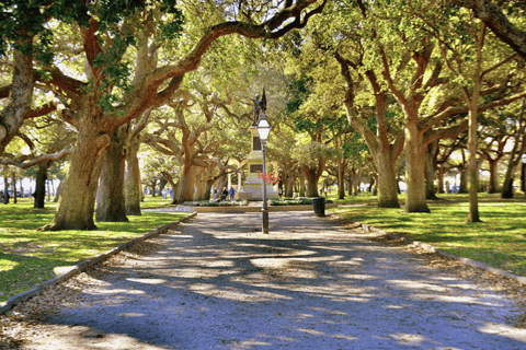 Charleston: 2 Hour private driving tour