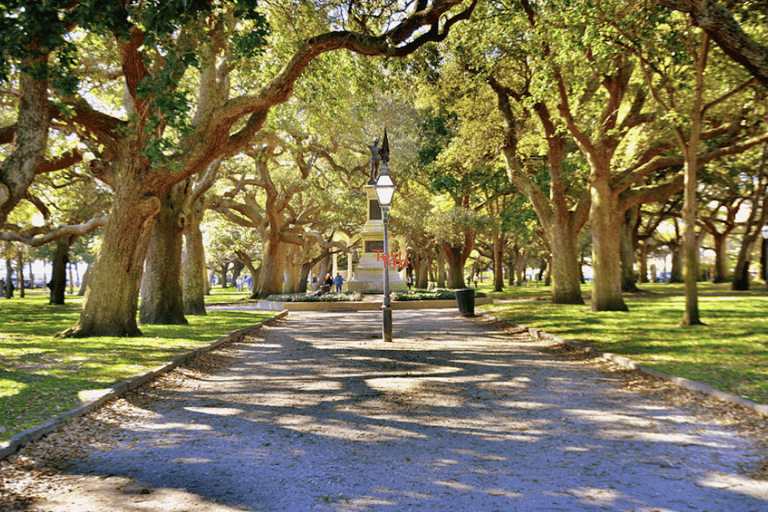 Charleston: 2 Hour private driving tour