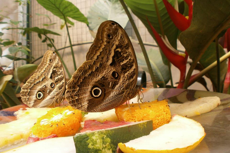 From Iguazú: Excursion to the Iguazú Biocenter