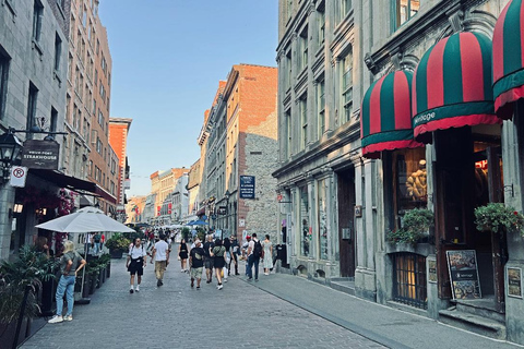 Visita privada en coche de 3 horas por Montreal con guía local experto