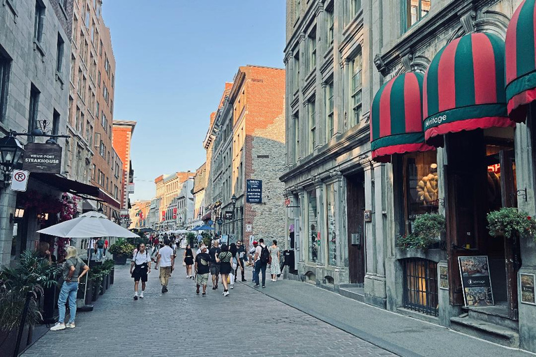 Visite privée de 3 heures de Montréal en voiture avec guide local expert