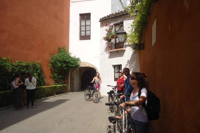 Sevilla: Dagstur på cykelSpansktalande guide