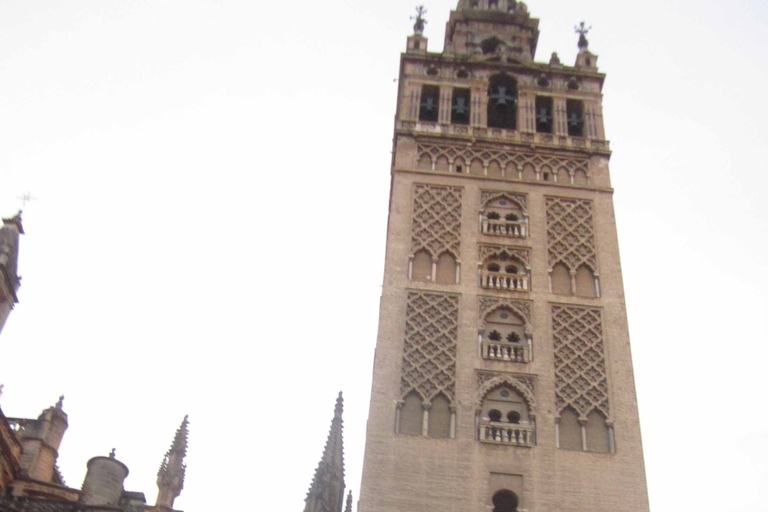 Seville: Daily Bike Tour English-speaking Guide