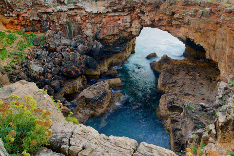 From Lisbon: Tour Sintra, Pena Palace, Regaleira and Cascais Private Tour