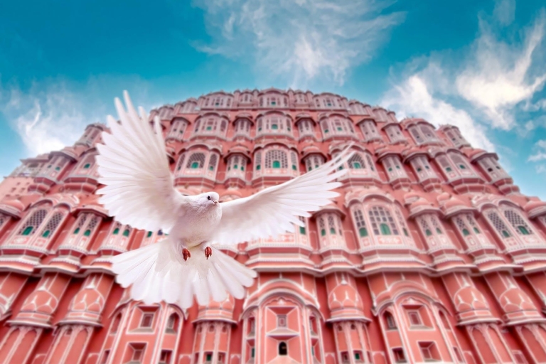 Vanuit Delhi: 4-daagse Gouden Driehoek-tour Delhi, Agra en JaipurPrivérondleiding zonder hotelaccommodaties