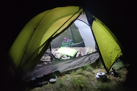 Oslo forest: Overnight Wilderness Experience