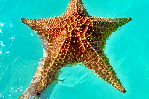 Punta Cana: Saona Island Exclusive Private Beach, Open Bar & Premium Lunch