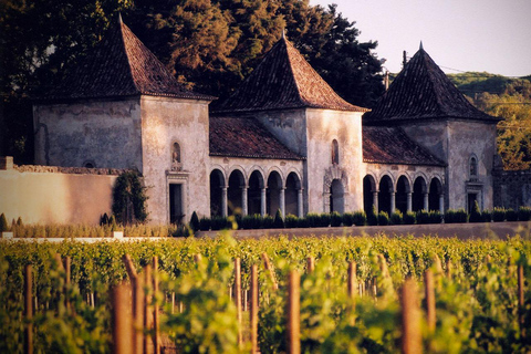 From Lisbon: Serra da Arrábida, Sesimbra, and Setúbal Wines Exclusive Private Tour