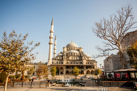 Istanbul: Crociera sul Bosforo (mattino)