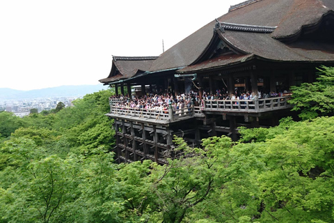 Kyoto: Rundgang Kiyomizu, Bezirk Gion mit einem EinheimischenTour zu Fuß: Kiyomizu-Tempel, Bezirk Gion mit einem Einheimischen