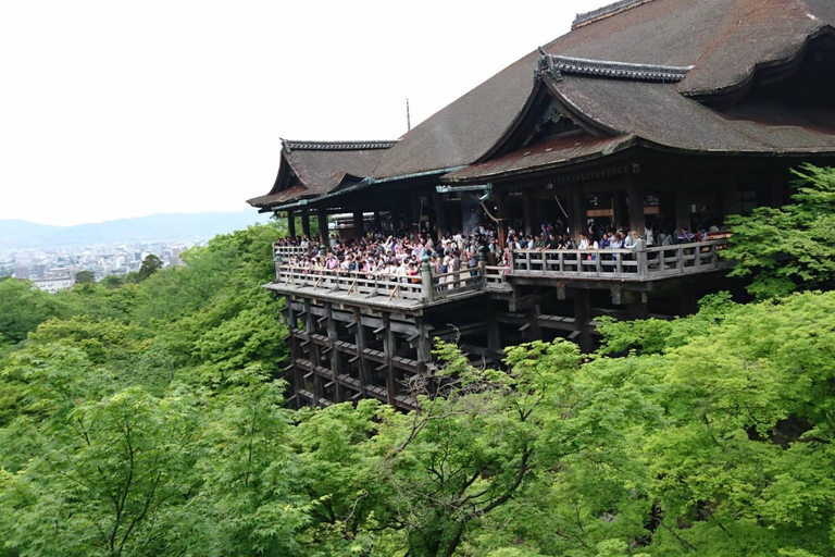 Walking Tour: Kiyomizu temple, Gion District with a local