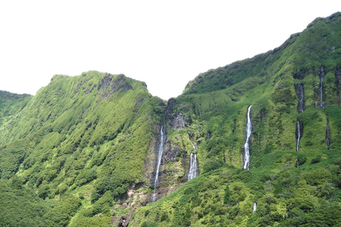 Flower Island: Van Tour