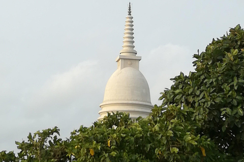 Colombo Photography Tour by Tuk Tuk Best Photo Spots