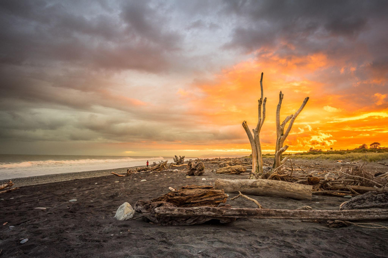 From Christchurch: 7-Day South Island Private Tour