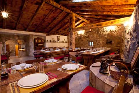 4-Hour Dalmatian Dinner Experience
