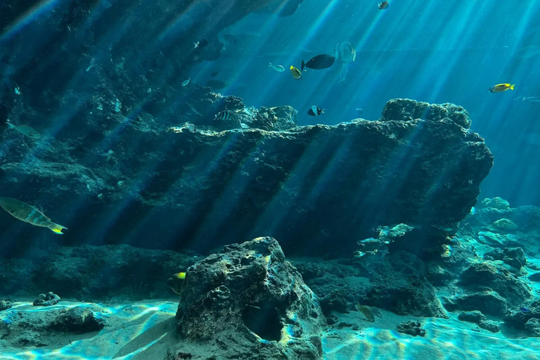 Kumejima : aquarium Churaumi d&#039;Okinawa, Manzamo, parc de l&#039;ananasBanque SMBC Shinjuku West Exit 9h30 (week-end et jours fériés 8h30)