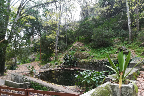 Silves and Monchique Mountain: Guided Bus Tour