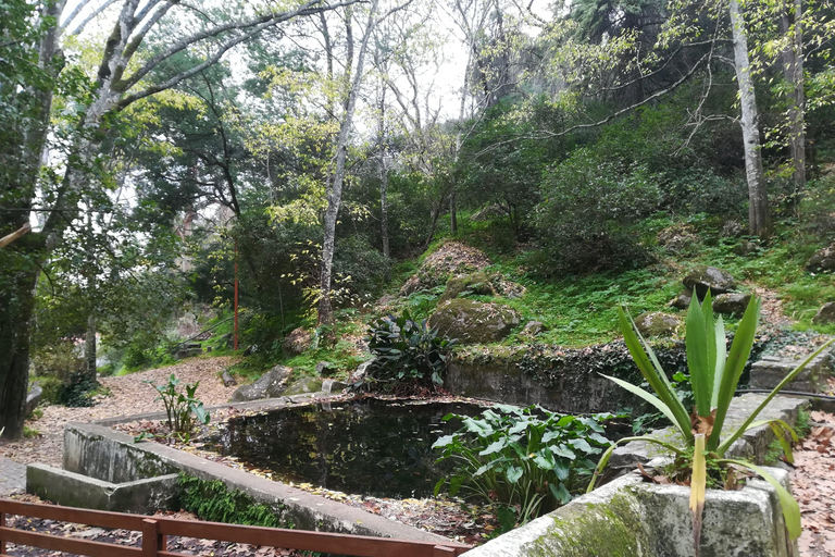 Silves and Monchique Mountain: Guided Bus Tour