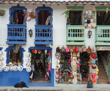 From Medellin: Guatapé and Coffee Private Day Tour