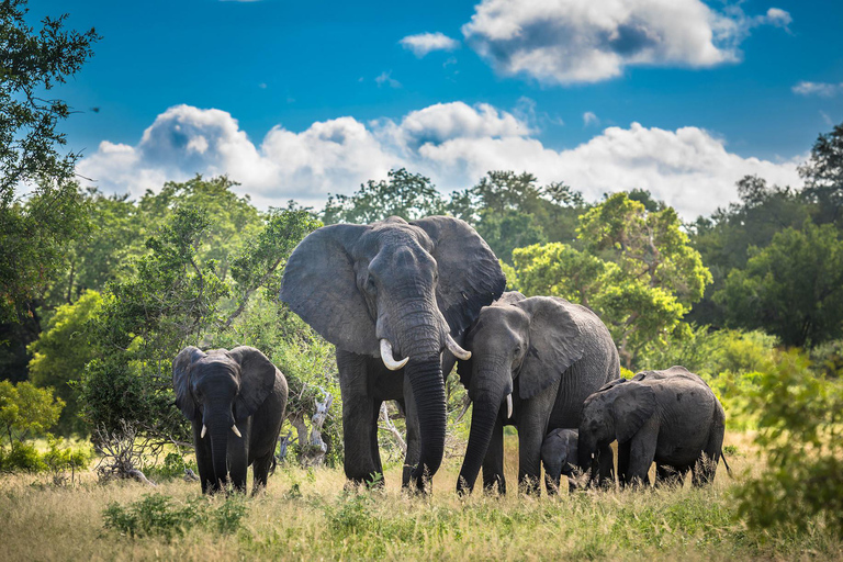 3 days: Safari in Kruger National Park, Mpumalanga, and City Tour in Maputo 3 days: Safari in Kruger National Park, Mpumalanga, and city tour in Maputo