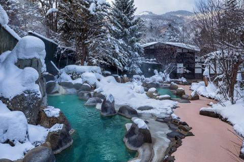 Nagano : Singes des neiges, temple Zenkoji et saké - visite privée d'une journéeExcursion d'une journée aux singes des neiges, au temple Zenkoji et au saké