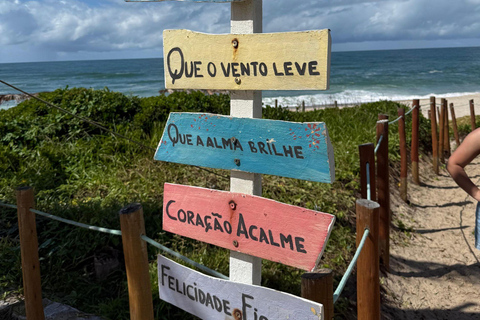 From Maceió: Francês, Barra, and Gunga Beach Day Trip