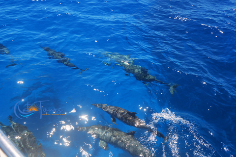 Mauritius: Flat Island Catamaran & Exclusive Beach BBQ
