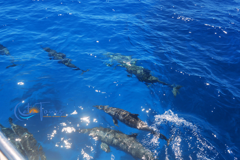Mauritius: Flat Island Catamaran & Exclusive Beach BBQ