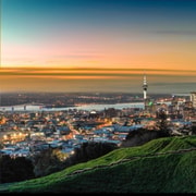 Auckland City Highlights Half-Day Tour