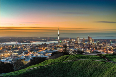 Excursão de meio dia pelos destaques da cidade de Auckland