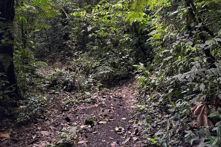 Laguna del Hule Guided tour Laguna del Hule Travel and Walk