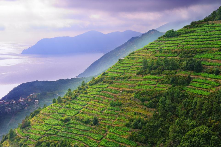 Cinque Terre mit Minivan &amp; Fähre: Landausflug ab LivornoCinque Terre by Minivan &amp; Ferry Shore Excursion from Livorno