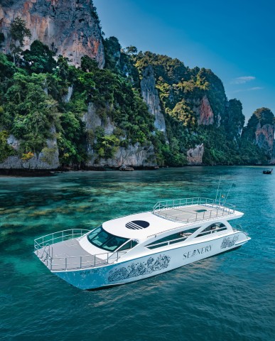 Visit Phuket Phi Phi Islands Day-Trip by Speed Catamaran in Krabi