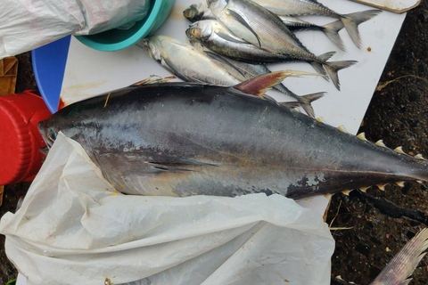 Mumbai Coastal Cooking: Från fiskenät till smakrik tallrik