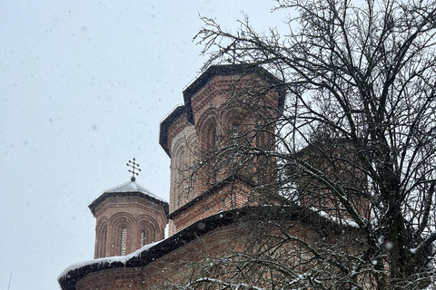 Bucharest:Salt Mine & Dracula-Vlad the Impaler tomb day trip