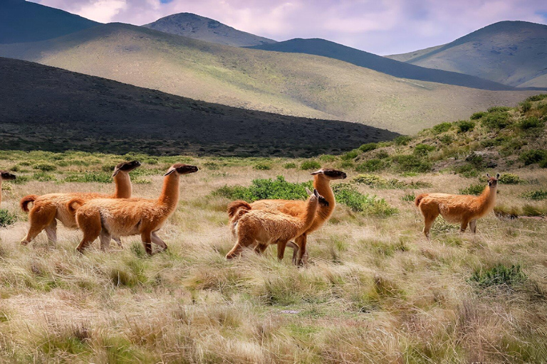 Von Jujuy aus: Quebrada de Humahuaca, Purmamarca und Tilcara