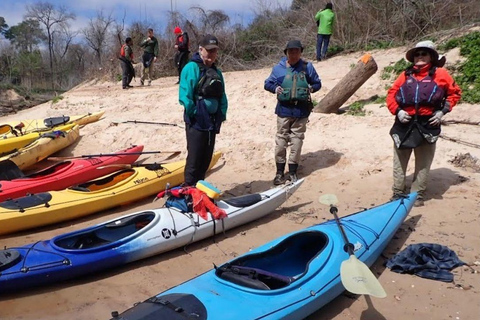 Full-Day Buffalo Bayou Kayaking Tour