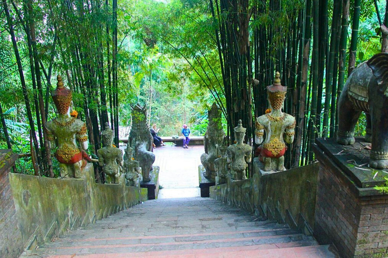 Visite du Doi Suthep et du temple Wat Pha Lat en soirée