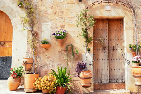 Mallorca: Puerto de Sóller and Valldemossa Morning Trip